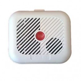 WiFi/Networking Camera in Smoke Alarm